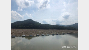 올해 부유쓰레기 수거량 11만t 이상…“10년 내 최대”