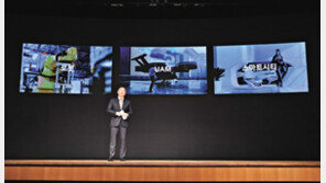 전기차-수소전기차 수출 늘려 글로벌 3사 도약