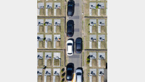 “미리 성묘하러 왔습니다”