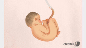 신생아 종이상자에 넣어 주택가에 버린 20대 산모 검거…아기 무사