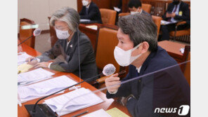 이 와중에…與, ‘종전선언·北 개별관광 결의안’ 국회 외통위 상정