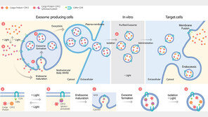 일리아스바이오로직스 “240억 원 규모 시리즈B 투자 유치” 