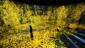 손끝에서 피어난 자연의 아름다움 ‘팀랩:라이프’ [청계천 옆 사진관]