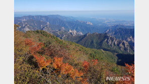 [날씨]29일 전국 맑고 오후부터 구름…출근길 내륙중심 쌀쌀