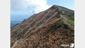 “설악에 단풍 들었어요”…10월16~18일 절정 예상