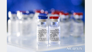 “러시아, 10월 말 코로나19 백신 대규모 접종 시작”