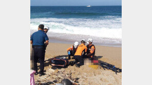 백사장 너울성 파도에 휩쓸린 母子