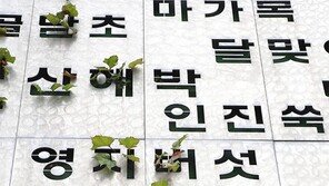 너의 이름은[고양이 눈]