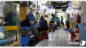 코로나로 고향길 좌절됐지만…“명절증후군 없는 한가위”