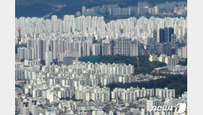 버팀목 전세대출 5년來 3.7배↑…“갭투자·집값상승 원인”