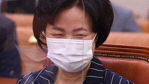 “술은 마셨지만 음주운전은 아냐”…‘秋 거짓말’ 논란에 또 등장한 비유