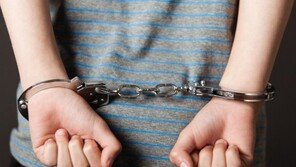 소년범 줄었지만 지능범 9397→1만742명, 14% 증가…“초기교화 중요”