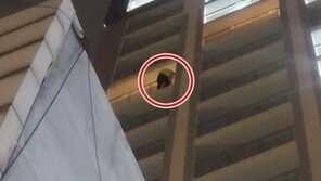 “술 사와라”…술 취한 자가격리자 호텔 14층 난간에 매달려 소동