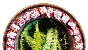 ‘집콕’에 지친 우리 몸, 비트 카나페로 저항력 ‘쑥’