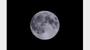 한가위 보름달 전국서 본다…가장 높이 떠오르는 시각은?