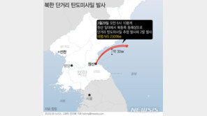 38노스 “北 신형 SRBM, 사드 등 한국 MD 방어에 취약” 