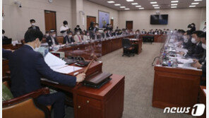 ‘우후죽순’ 규제법안 논의 본격화, 국감엔 CEO 대거 호출…유통가 ‘울상’