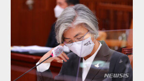 강경화 배우자 美여행 與도 비판…김태년 “부적절한 행위”