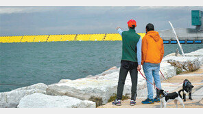 베네치아 구한 ‘모세’… 17년만에 조수차단벽 성공