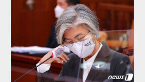 최인호 “강경화 남편, 공인으로 봐야…해외여행 상당히 유감”