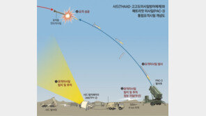 美 ‘사드-패트리엇 통합’ 요격시험 성공