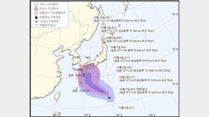 태풍 ‘찬홈’ 日오키나와 해상 발생…“국내영향 가능성 낮아”