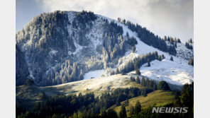 시간당 2만9000원…스위스, 세계 最高 최저임금 도입