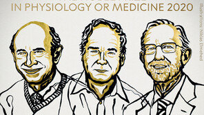 노벨 생리의학상 알터·호턴·라이스…C형간염 바이러스 연구