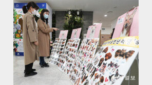 “유기 반려견 입양하세요”