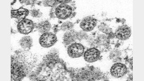 美CDC “밀폐공간서 노래·운동땐 코로나 공기 전파”