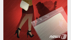 항공소포로 필로폰 밀수·투약까지…태국 마사지사 실형