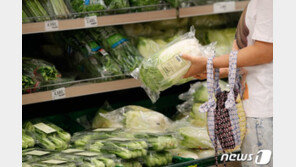 ‘토마토’ 빠진 햄버거…김장철 배추는 ‘金추’…“장보기가 무섭다”