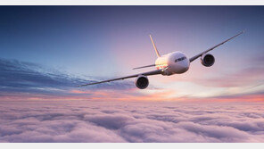 술 안 준다고 승무원에 침 ‘퉤’…기내 난동 미국인 입건