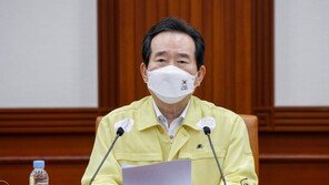 개천철 ‘재인산성’ 논란에…丁총리 “다른 대안 없어”