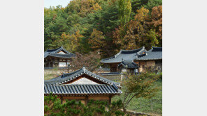 KALPAK, 경북 미식 여행상품 출시