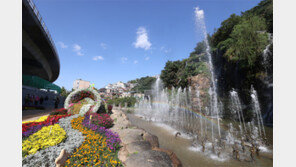 눈부신 가을날, 홍제천 꽃길 걸어볼까 