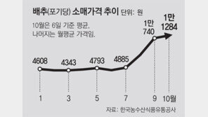 배추 한포기 1만원… 김장철앞 서민 시름