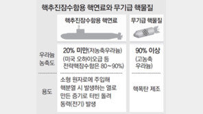 정부, 핵잠수함 개발 본격화… 美설득 적극 나선다