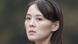 日언론 “한국, 美 대선 전에 김여정 방미 주선 계획했다”