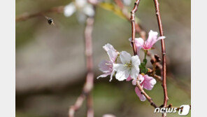 [날씨]8일 아침 쌀쌀 일교차 최대 15도…남해일부 풍랑특보