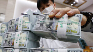 외환보유액 4개월 연속 사상 최대치 경신