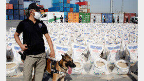 터키, 비료 포대에 숨겨 들여오던 코카인 228kg 적발