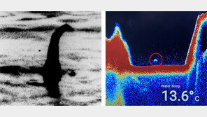 잊을만하면 또… “네스호 괴물 초음파 포착”