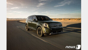 “현지 맞춤형 SUV가 효자”…현대·기아차, 미국·인도서 ‘씽씽’