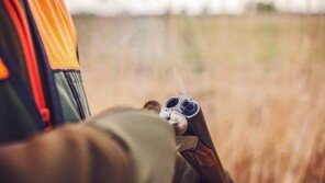 청양서 멧돼지 쫓던 40대 엽사, 동료 총에 맞아 숨져