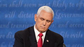 “파리가 토론 승자”…펜스 머리 위에 앉은 파리, ‘신스틸러’ 등극