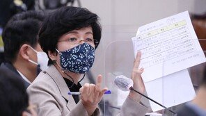 “자*방 애인.avi”…국감자료에 음란물 전송한 민주평통 ‘뭇매’