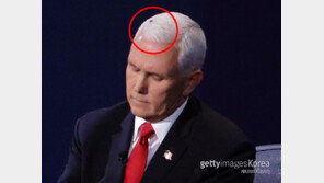 토론 중 펜스 머리에 앉은 파리…바이든은 파리채로 조롱