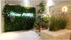 ‘1호가 될 순 없어’ 최양락·김학래, 청담동 명품 편집숍서 패션 종결자 허세