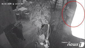 부산지검, 술 취해 길에서 여성 강제추행한 혐의 부장검사 불기소